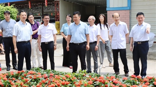 自治區(qū)政協(xié)常委、梧州市政協(xié)主席黃振饒蒞臨百裕集團(tuán)走訪調(diào)研